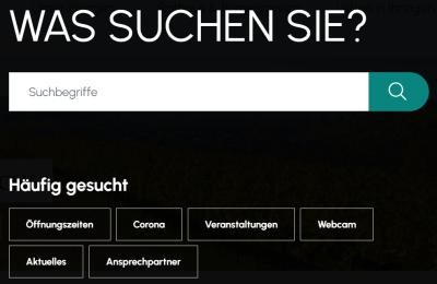 Überschrift "Was suchen Sie?", darunter ein Textfeld mit Button, darunter Häufig gesuchte Wörter