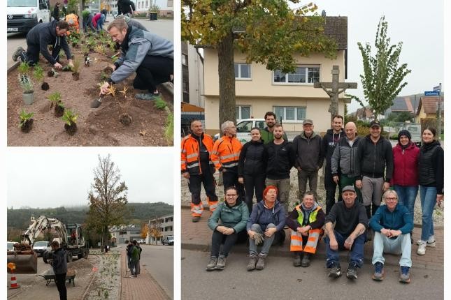 HelferInnen bei der Anlage des Beetes HelferInnen bei der Anlage des Beetes