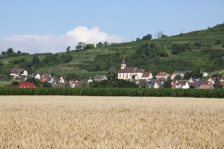 Panorama Wasenweiler