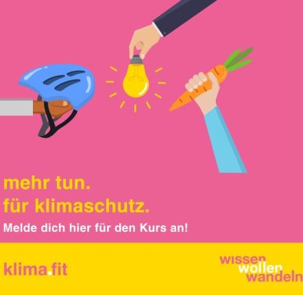Werbung klimafit mit einem blauen Helm eine Glühbirne und einer Karotte in Händen auf pinkem Hintergrund