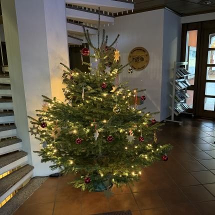 Weihnachtsbaum im Rathaus