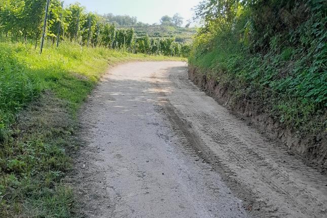 Wirtschaftsweg Wirtschaftsweg