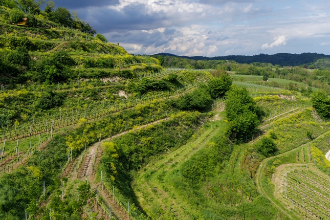 Kaiserstuhl