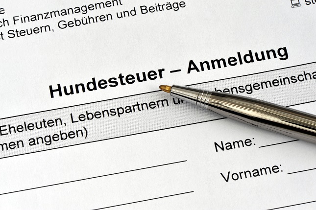 Hundesteuerformular